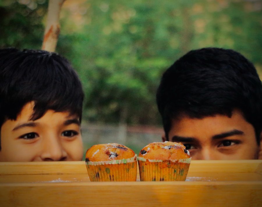 Chocolate Chip Muffin - Image 2